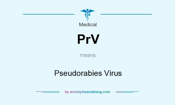 What does PrV mean? It stands for Pseudorabies Virus