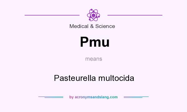 What does Pmu mean? It stands for Pasteurella multocida