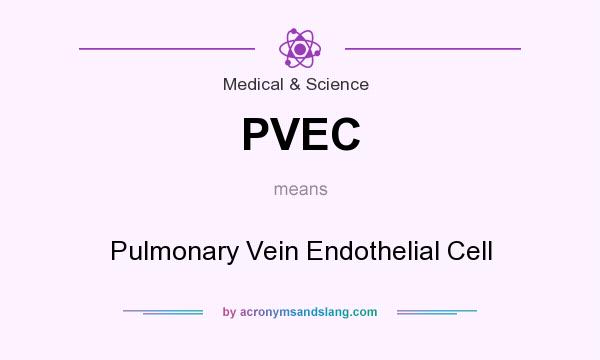 What does PVEC mean? It stands for Pulmonary Vein Endothelial Cell