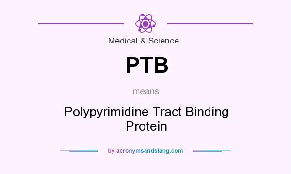 What does PTB mean? It stands for Polypyrimidine Tract Binding Protein