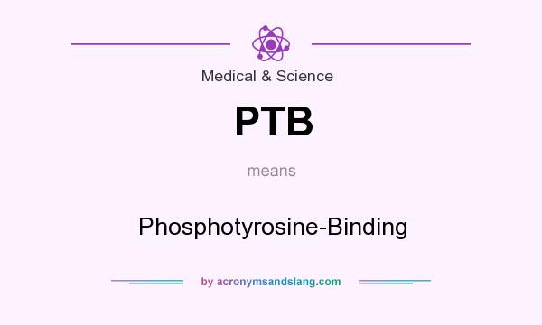 What does PTB mean? It stands for Phosphotyrosine-Binding