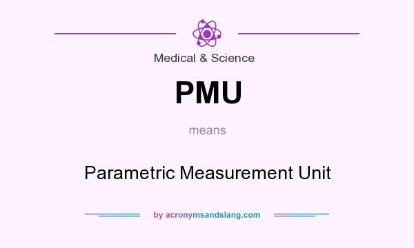 What does PMU mean? It stands for Parametric Measurement Unit