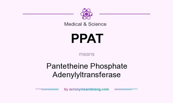 What does PPAT mean? It stands for Pantetheine Phosphate Adenylyltransferase