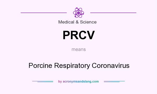 What does PRCV mean? It stands for Porcine Respiratory Coronavirus