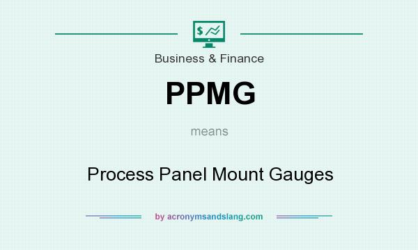 What does PPMG mean? It stands for Process Panel Mount Gauges