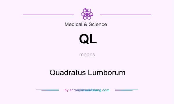 What does QL mean? It stands for Quadratus Lumborum