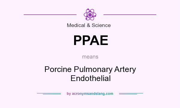 What does PPAE mean? It stands for Porcine Pulmonary Artery Endothelial