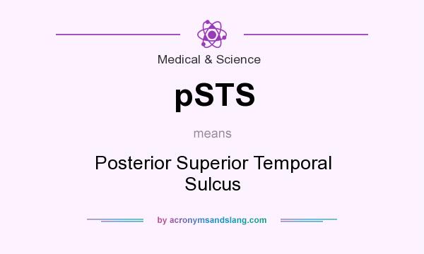 What does pSTS mean? It stands for Posterior Superior Temporal Sulcus