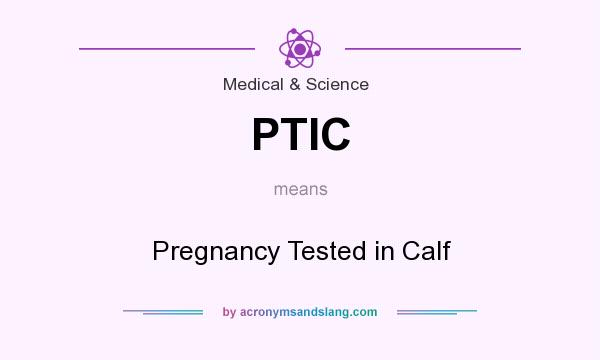 What does PTIC mean? It stands for Pregnancy Tested in Calf