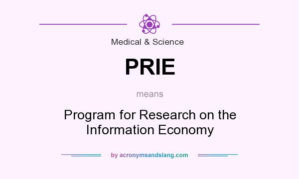 What does PRIE mean? It stands for Program for Research on the Information Economy