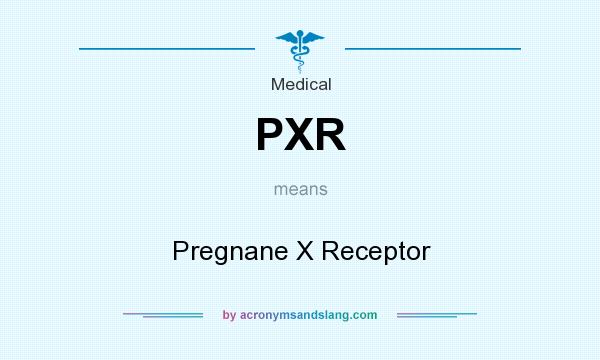 What does PXR mean? It stands for Pregnane X Receptor