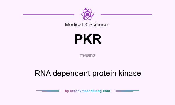 What does PKR mean? It stands for RNA dependent protein kinase