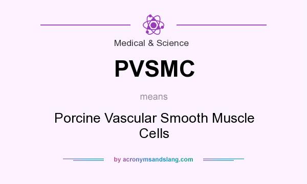 What does PVSMC mean? It stands for Porcine Vascular Smooth Muscle Cells