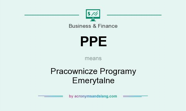 What does PPE mean? It stands for Pracownicze Programy Emerytalne