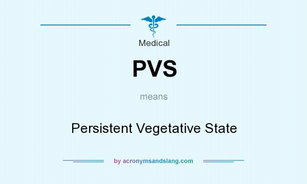 What does PVS mean? It stands for Persistent Vegetative State