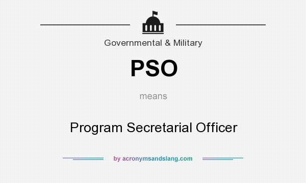 What does PSO mean? It stands for Program Secretarial Officer