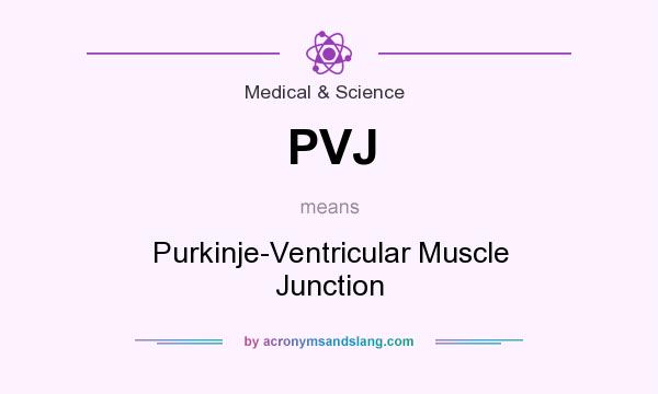 What does PVJ mean? It stands for Purkinje-Ventricular Muscle Junction