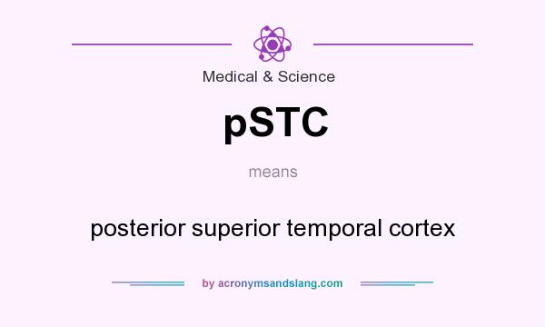 What does pSTC mean? It stands for posterior superior temporal cortex