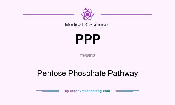 What does PPP mean? It stands for Pentose Phosphate Pathway