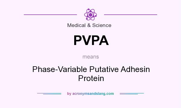 What does PVPA mean? It stands for Phase-Variable Putative Adhesin Protein