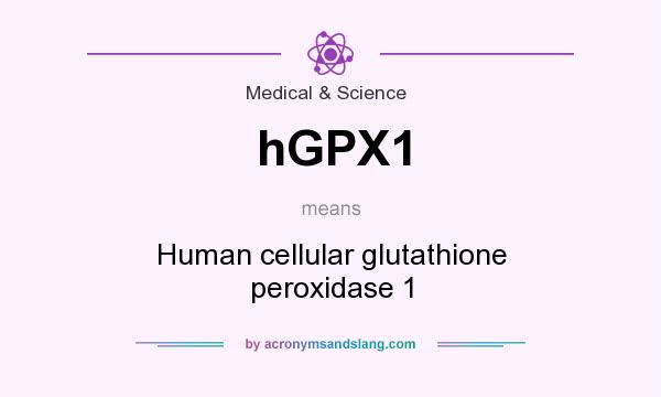 What does hGPX1 mean? It stands for Human cellular glutathione peroxidase 1