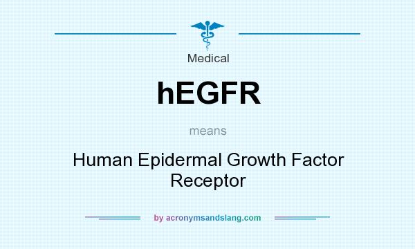 What does hEGFR mean? It stands for Human Epidermal Growth Factor Receptor