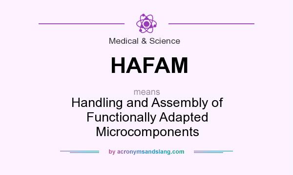 What does HAFAM mean? It stands for Handling and Assembly of Functionally Adapted Microcomponents