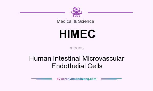 What does HIMEC mean? It stands for Human Intestinal Microvascular Endothelial Cells
