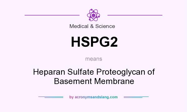 What does HSPG2 mean? It stands for Heparan Sulfate Proteoglycan of Basement Membrane