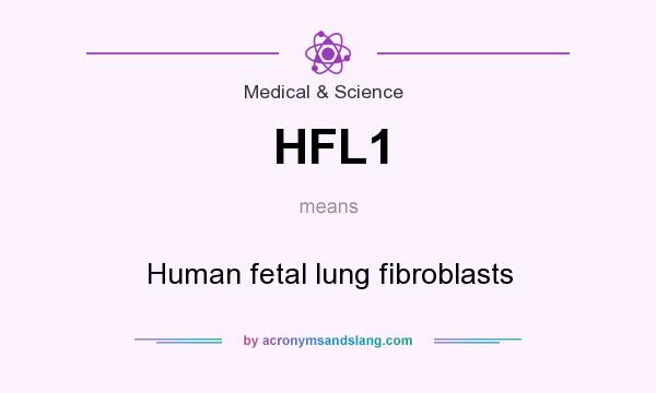 What does HFL1 mean? It stands for Human fetal lung fibroblasts