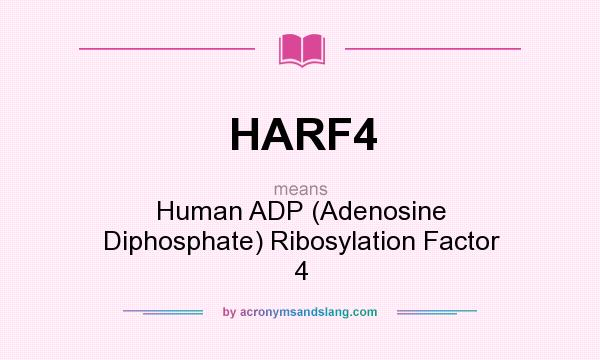 What does HARF4 mean? It stands for Human ADP (Adenosine Diphosphate) Ribosylation Factor 4