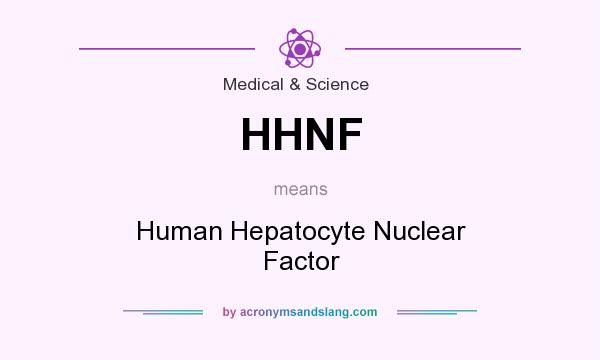 What does HHNF mean? It stands for Human Hepatocyte Nuclear Factor