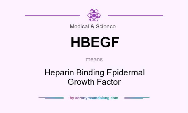 What does HBEGF mean? It stands for Heparin Binding Epidermal Growth Factor