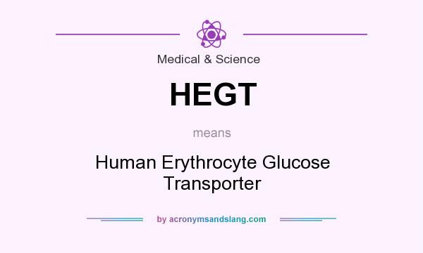 What does HEGT mean? It stands for Human Erythrocyte Glucose Transporter