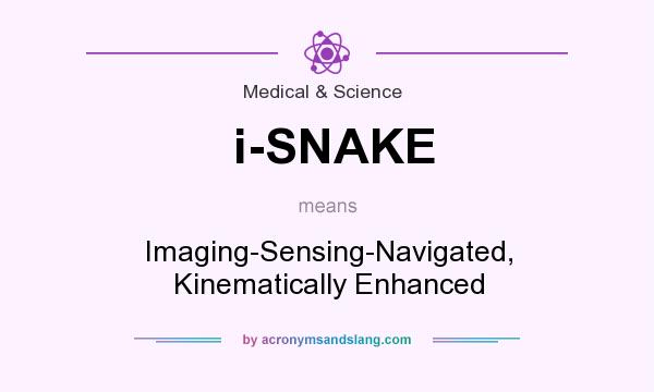 What does i-SNAKE mean? It stands for Imaging-Sensing-Navigated, Kinematically Enhanced