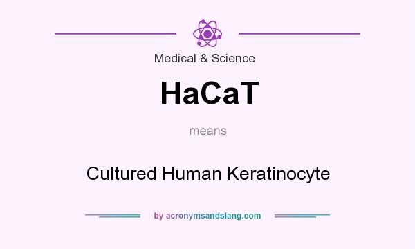 What does HaCaT mean? It stands for Cultured Human Keratinocyte