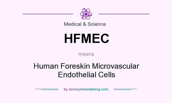 What does HFMEC mean? It stands for Human Foreskin Microvascular Endothelial Cells