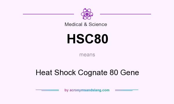 What does HSC80 mean? It stands for Heat Shock Cognate 80 Gene