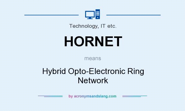 What does HORNET mean? It stands for Hybrid Opto-Electronic Ring Network