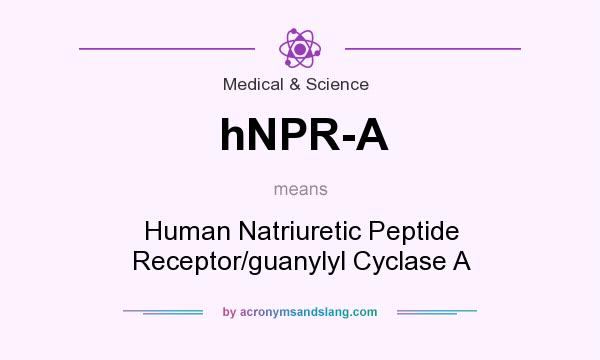 What does hNPR-A mean? It stands for Human Natriuretic Peptide Receptor/guanylyl Cyclase A