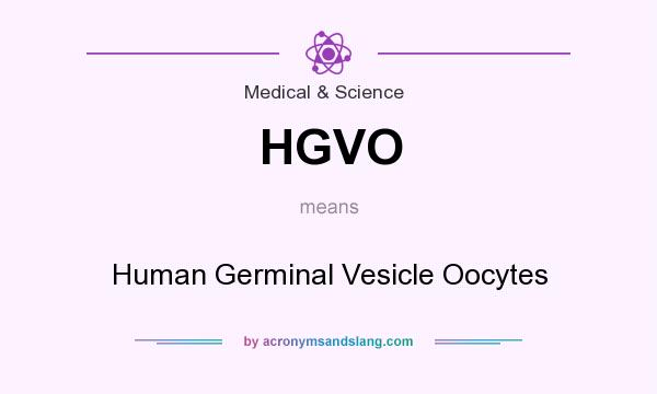 What does HGVO mean? It stands for Human Germinal Vesicle Oocytes