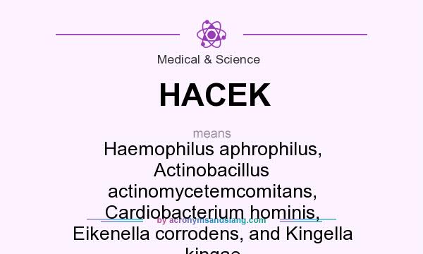 What does HACEK mean? It stands for Haemophilus aphrophilus, Actinobacillus actinomycetemcomitans, Cardiobacterium hominis, Eikenella corrodens, and Kingella kingae