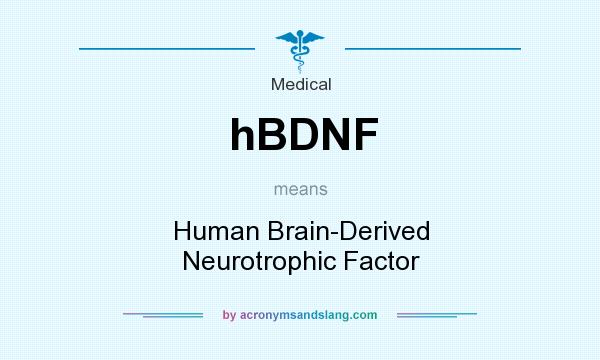 What does hBDNF mean? It stands for Human Brain-Derived Neurotrophic Factor