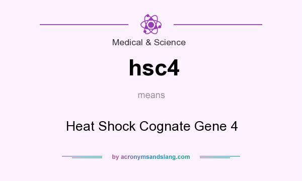 What does hsc4 mean? It stands for Heat Shock Cognate Gene 4