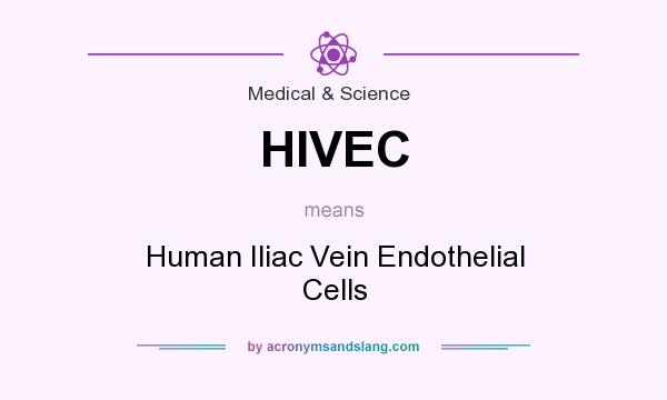 What does HIVEC mean? It stands for Human Iliac Vein Endothelial Cells