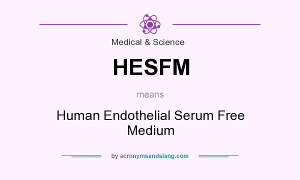 What does HESFM mean? It stands for Human Endothelial Serum Free Medium