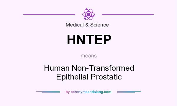 What does HNTEP mean? It stands for Human Non-Transformed Epithelial Prostatic