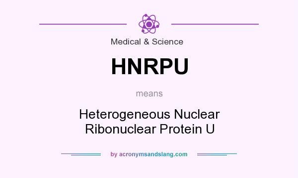 What does HNRPU mean? It stands for Heterogeneous Nuclear Ribonuclear Protein U