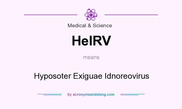 What does HeIRV mean? It stands for Hyposoter Exiguae Idnoreovirus