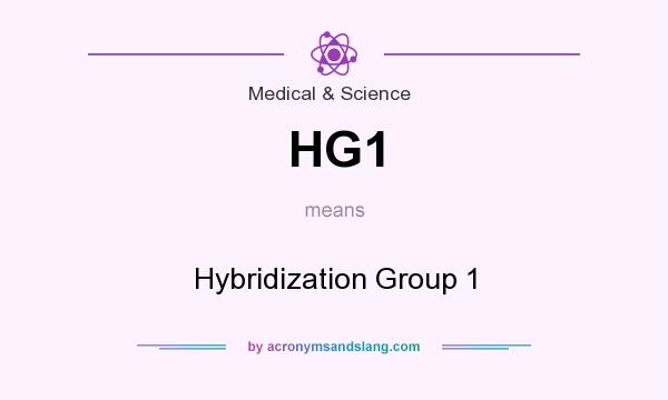 What does HG1 mean? It stands for Hybridization Group 1